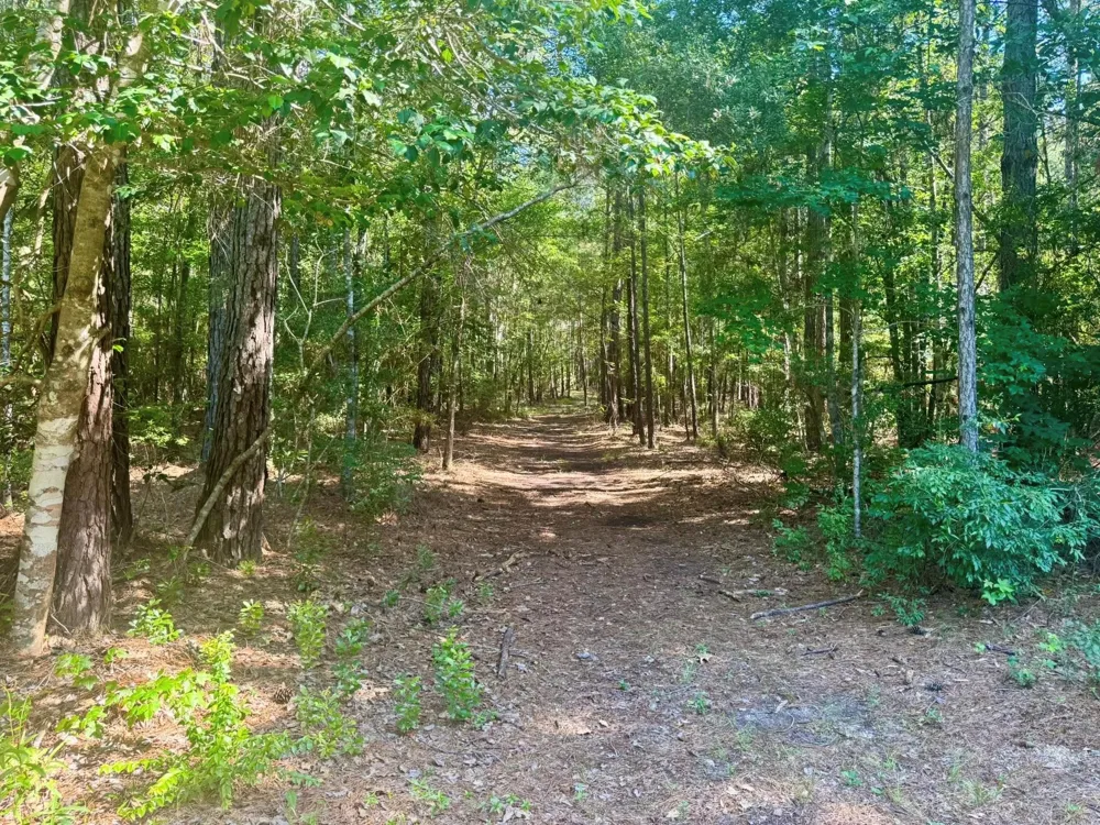 4720 Hwy 21 E Hemphill, TX 75948