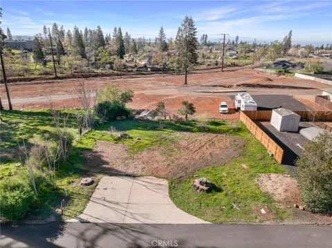 772 Willow