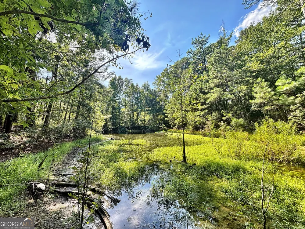 1721 Hwy 49 Byron, GA 31008
