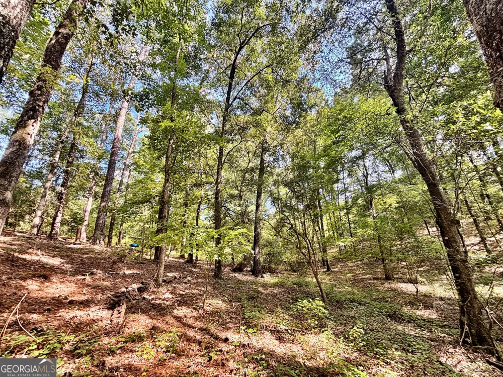 1721 Hwy 49 Byron, GA 31008