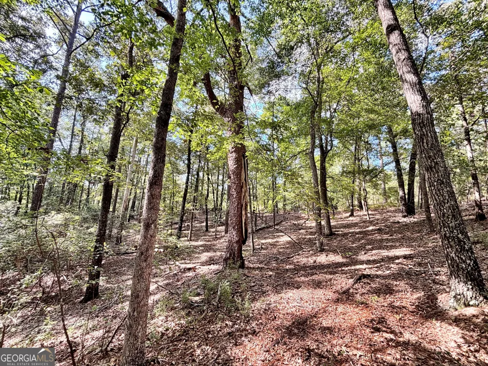 1721 Hwy 49 Byron, GA 31008