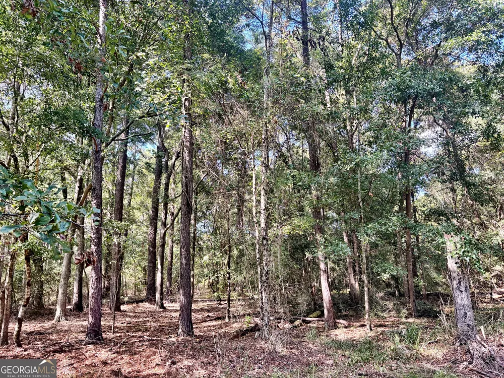 1721 Hwy 49 Byron, GA 31008