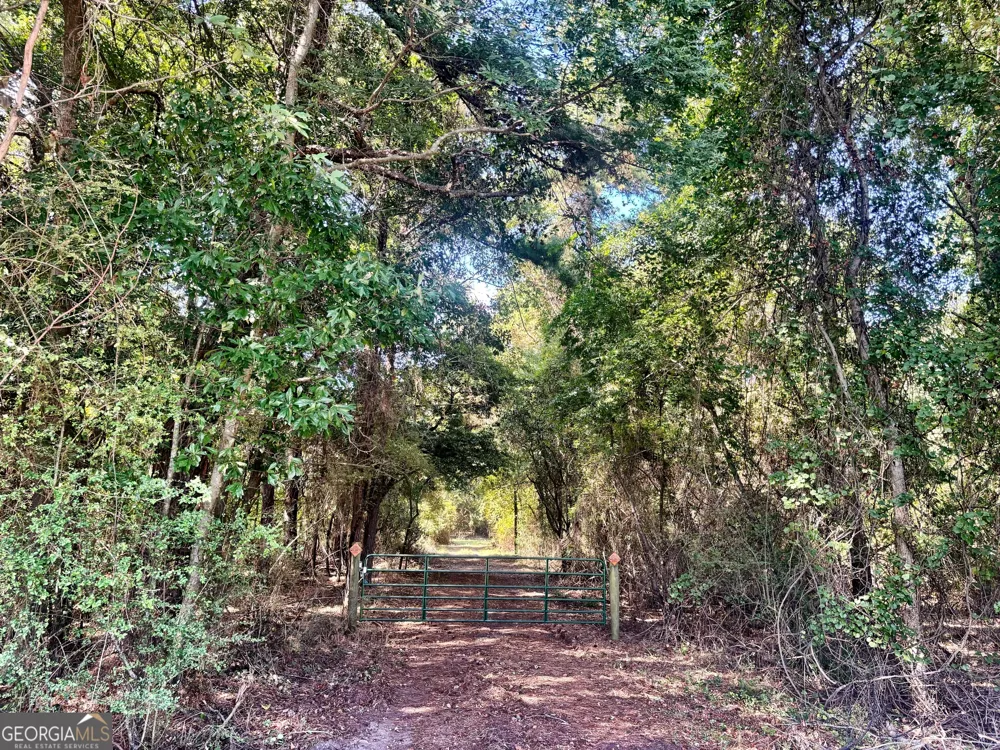 1721 Hwy 49 Byron, GA 31008