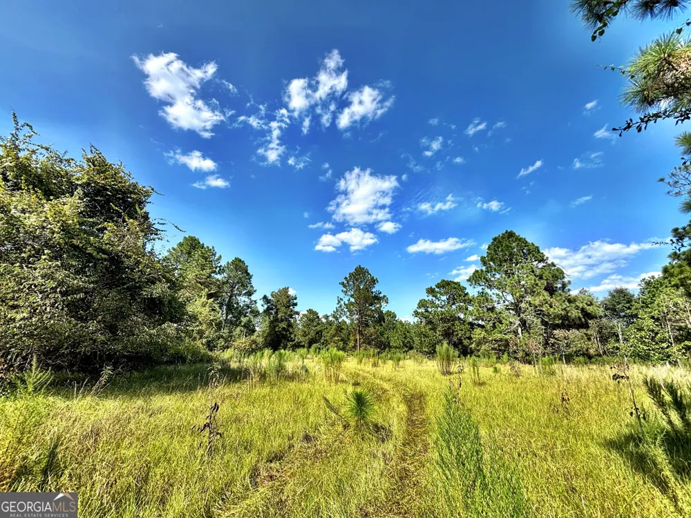 1721 Hwy 49 Byron, GA 31008