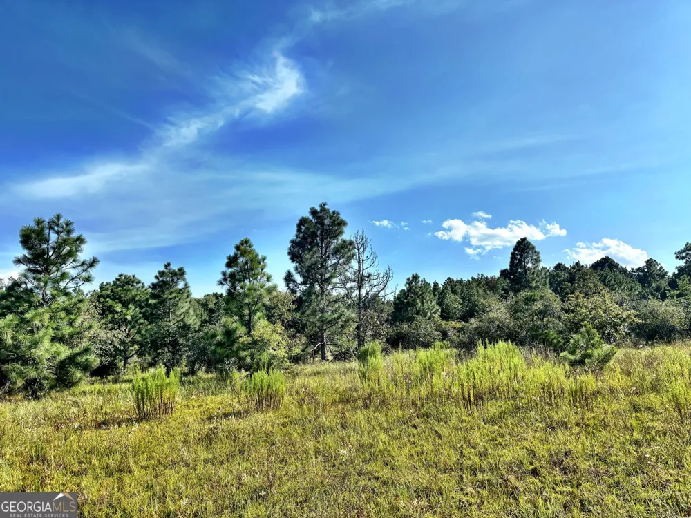 1721 Hwy 49 Byron, GA 31008