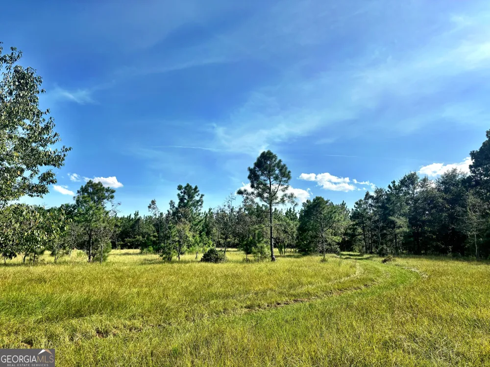1721 Hwy 49 Byron, GA 31008