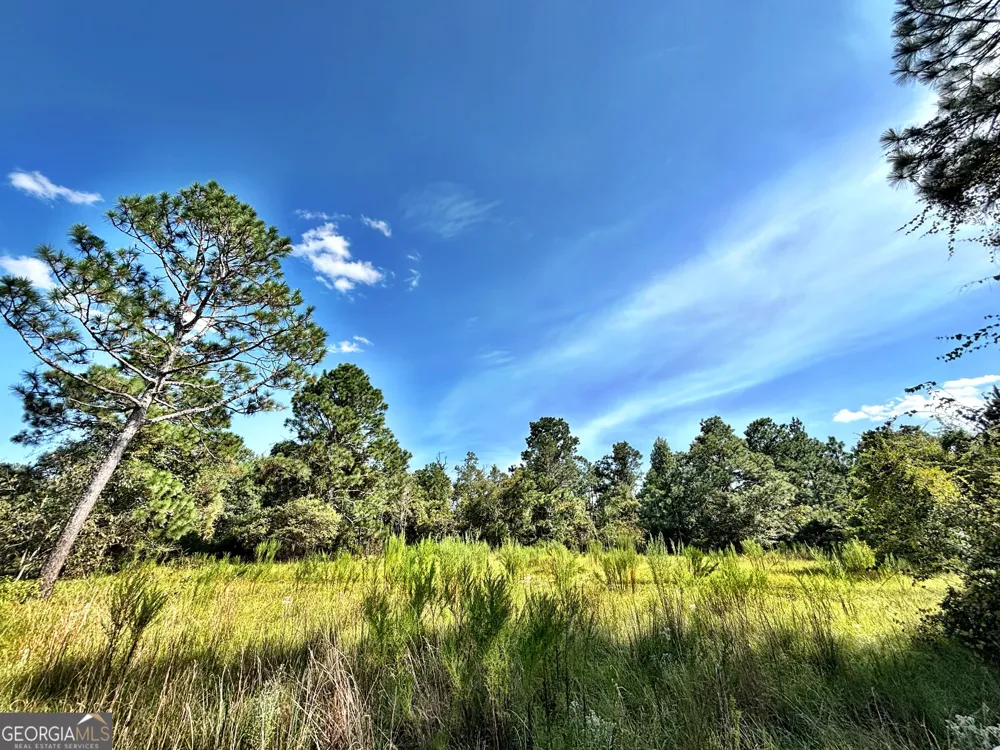 1721 Hwy 49 Byron, GA 31008