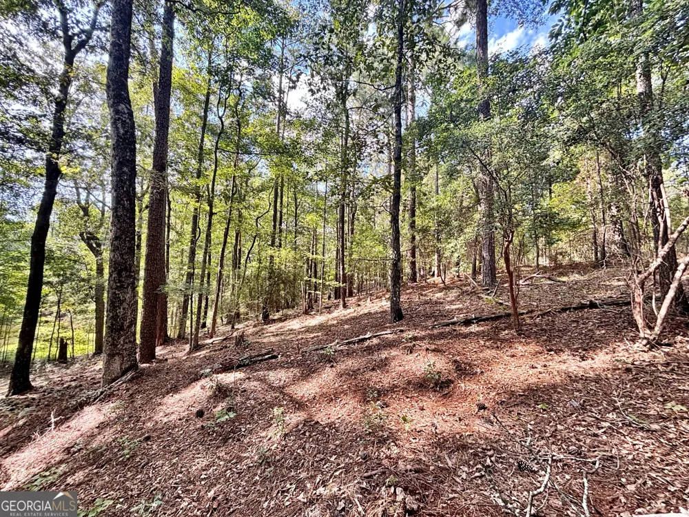 1721 Hwy 49 Byron, GA 31008