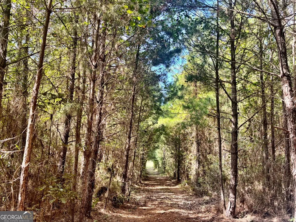 1721 Hwy 49 Byron, GA 31008