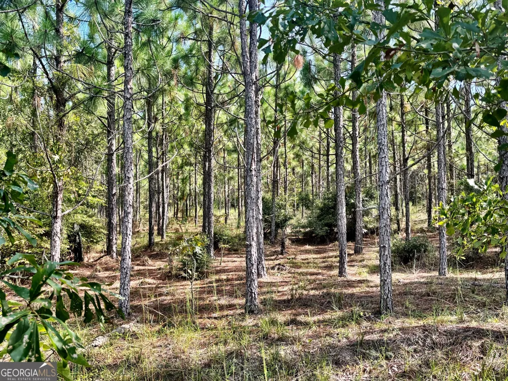 1721 Hwy 49 Byron, GA 31008