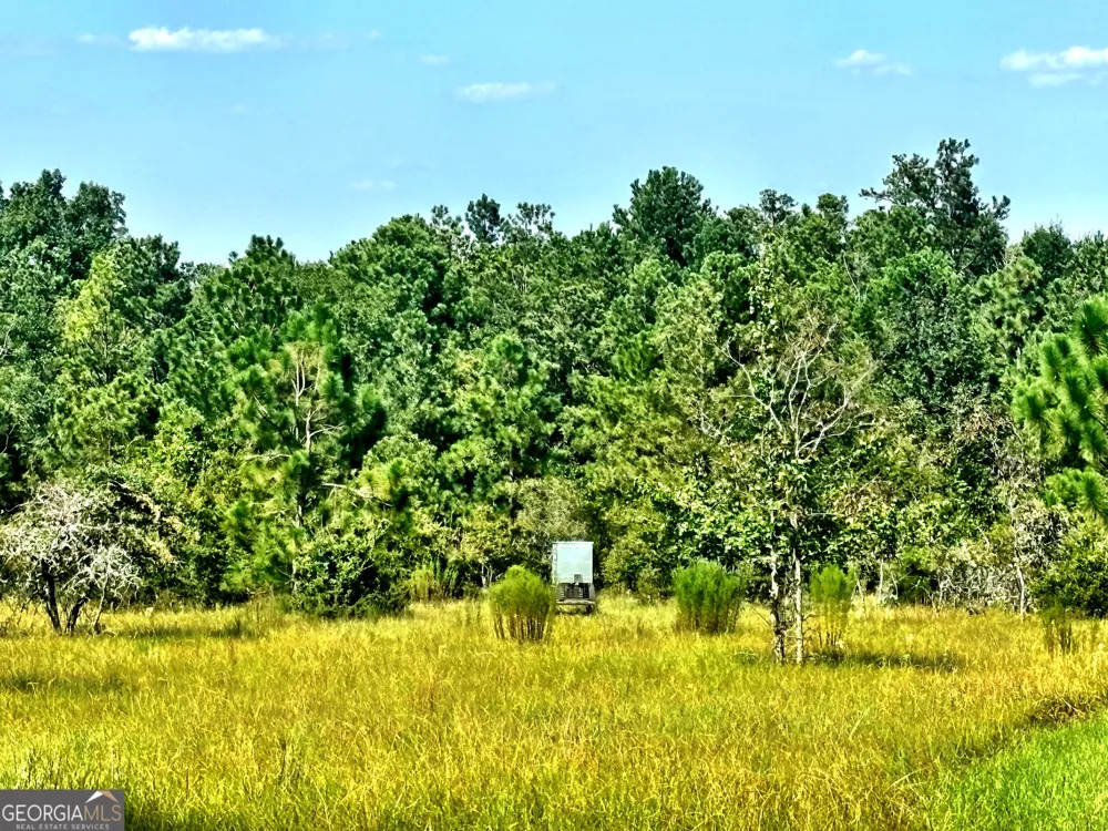 1721 Hwy 49 Byron, GA 31008