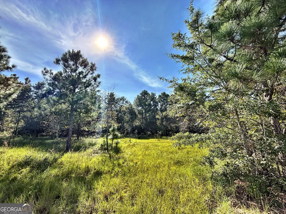 1721 Hwy 49 Byron, GA 31008