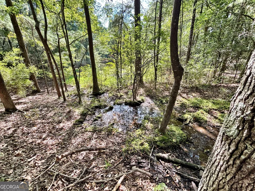 1721 Hwy 49 Byron, GA 31008