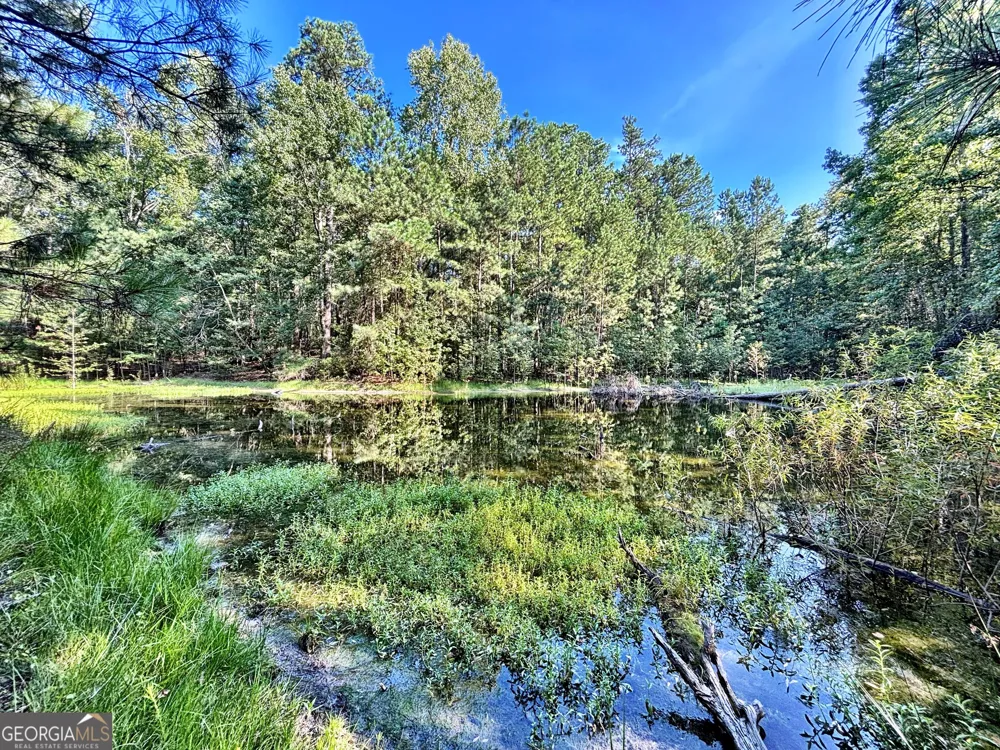 1721 Hwy 49 Byron, GA 31008