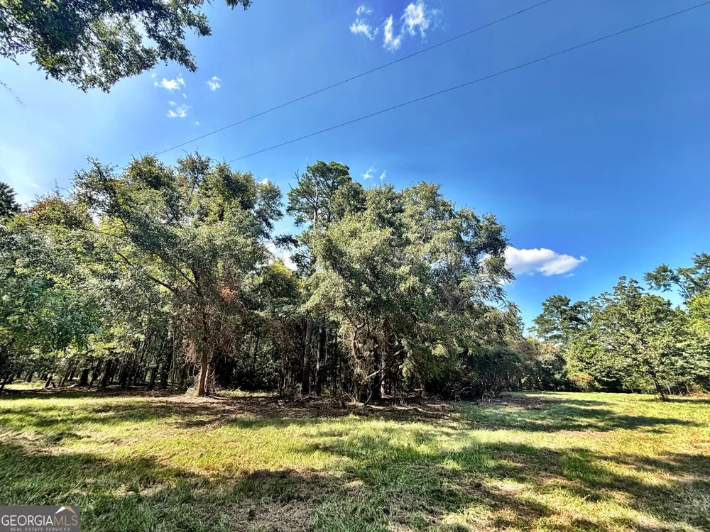 1721 Hwy 49 Byron, GA 31008