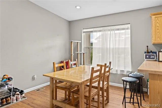 738 Trout Creek Drive Fairplay, CO 80440