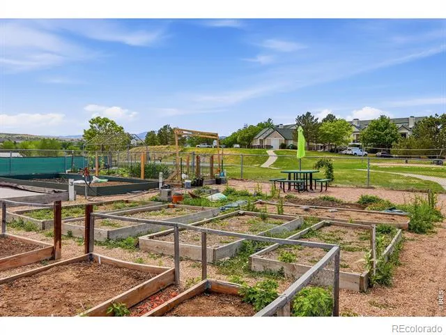 2020 Shamrock Drive Superior, CO 80027