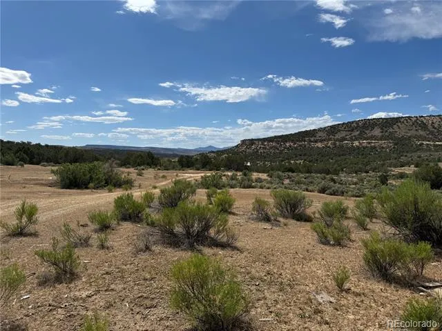 4530 Horse Canyon Road De Beque, CO 81630