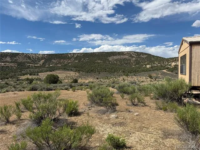 4530 Horse Canyon Road De Beque, CO 81630