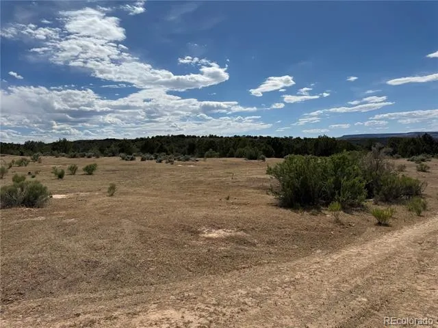 4530 Horse Canyon Road De Beque, CO 81630