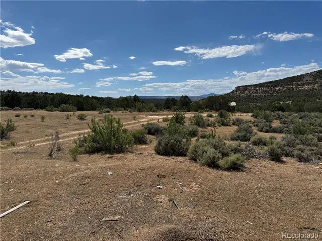 4530 Horse Canyon Road De Beque, CO 81630