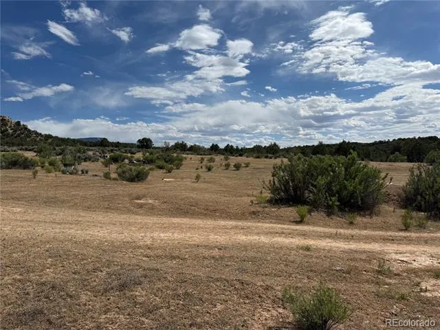 4530 Horse Canyon Road De Beque, CO 81630
