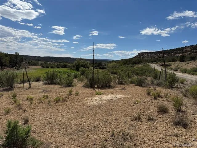 4530 Horse Canyon Road De Beque, CO 81630