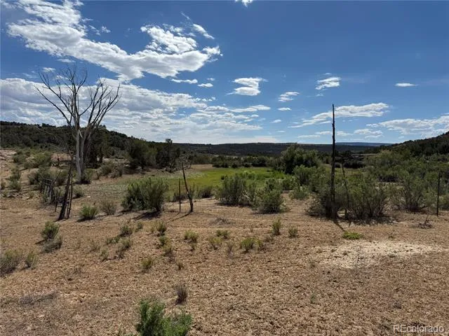4530 Horse Canyon Road De Beque, CO 81630