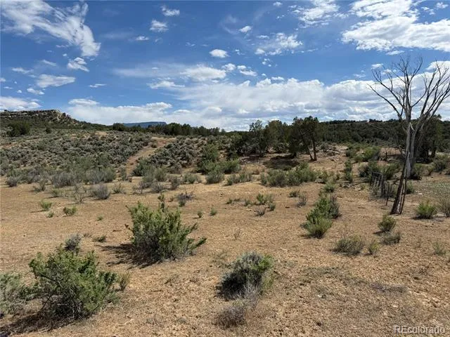 4530 Horse Canyon Road De Beque, CO 81630