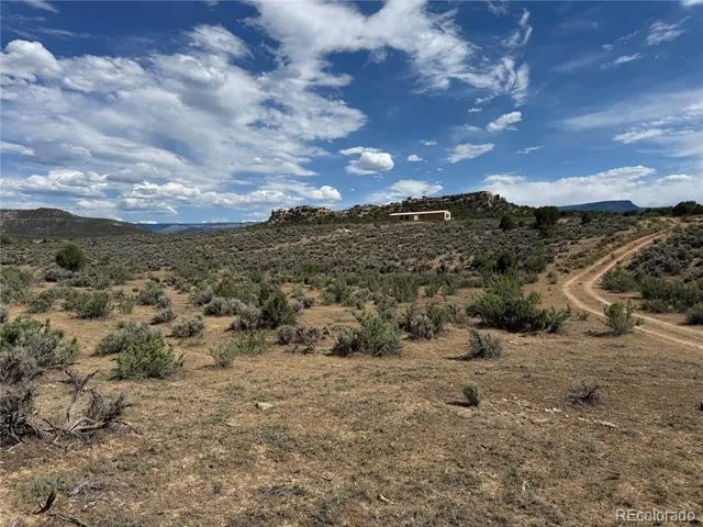 4530 Horse Canyon Road De Beque, CO 81630