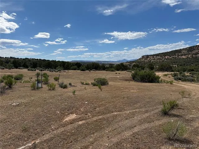 4530 Horse Canyon Road De Beque, CO 81630