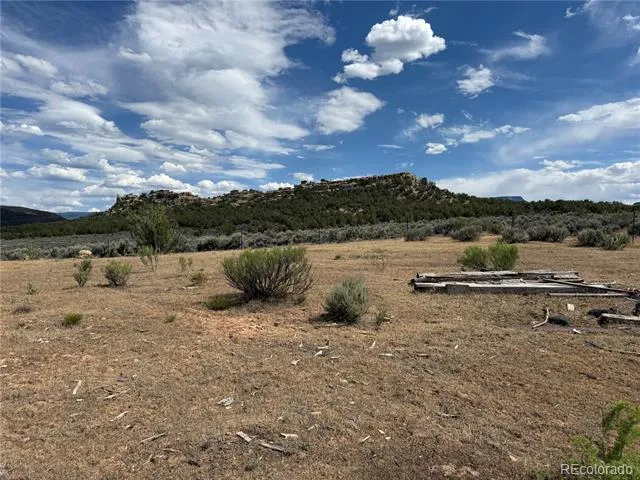 4530 Horse Canyon Road De Beque, CO 81630