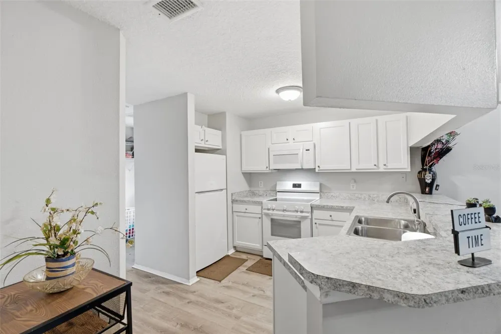 3203 DELEUIL AVENUE Tampa, FL 33610