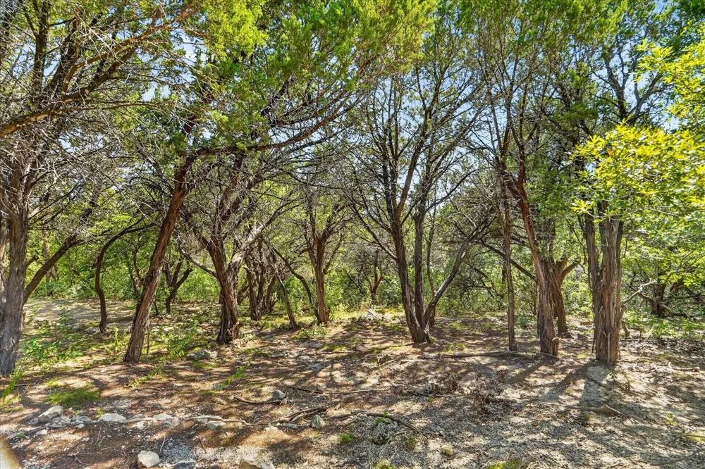 9601 Eagles Nest Court Rio Vista, TX 76093