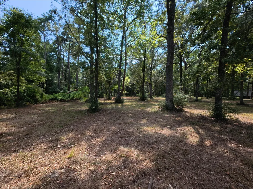 5 River Terrace Rd Huffman, TX 77336