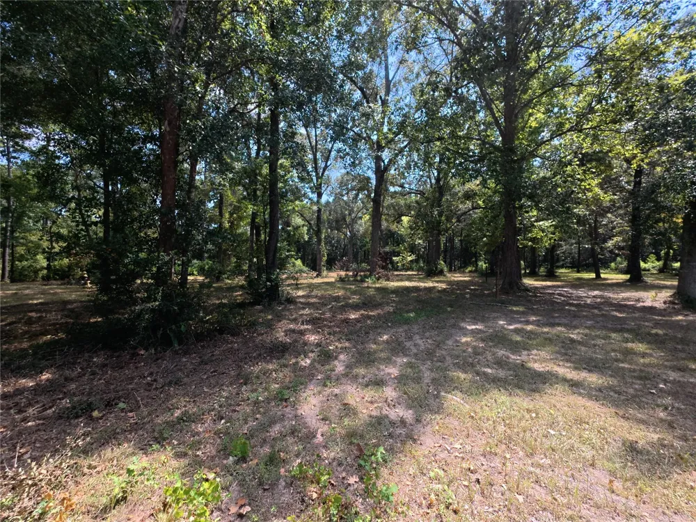 5 River Terrace Rd Huffman, TX 77336