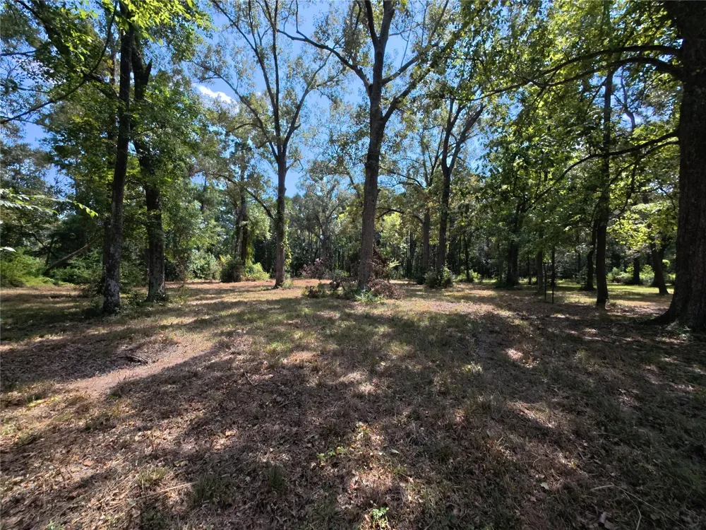 5 River Terrace Rd Huffman, TX 77336
