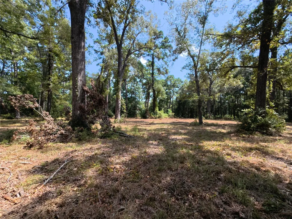 5 River Terrace Rd Huffman, TX 77336