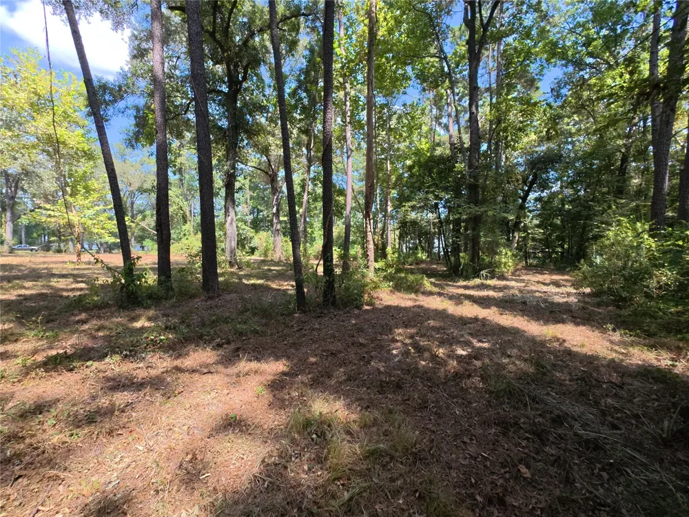 5 River Terrace Rd Huffman, TX 77336