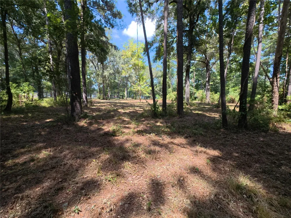 5 River Terrace Rd Huffman, TX 77336