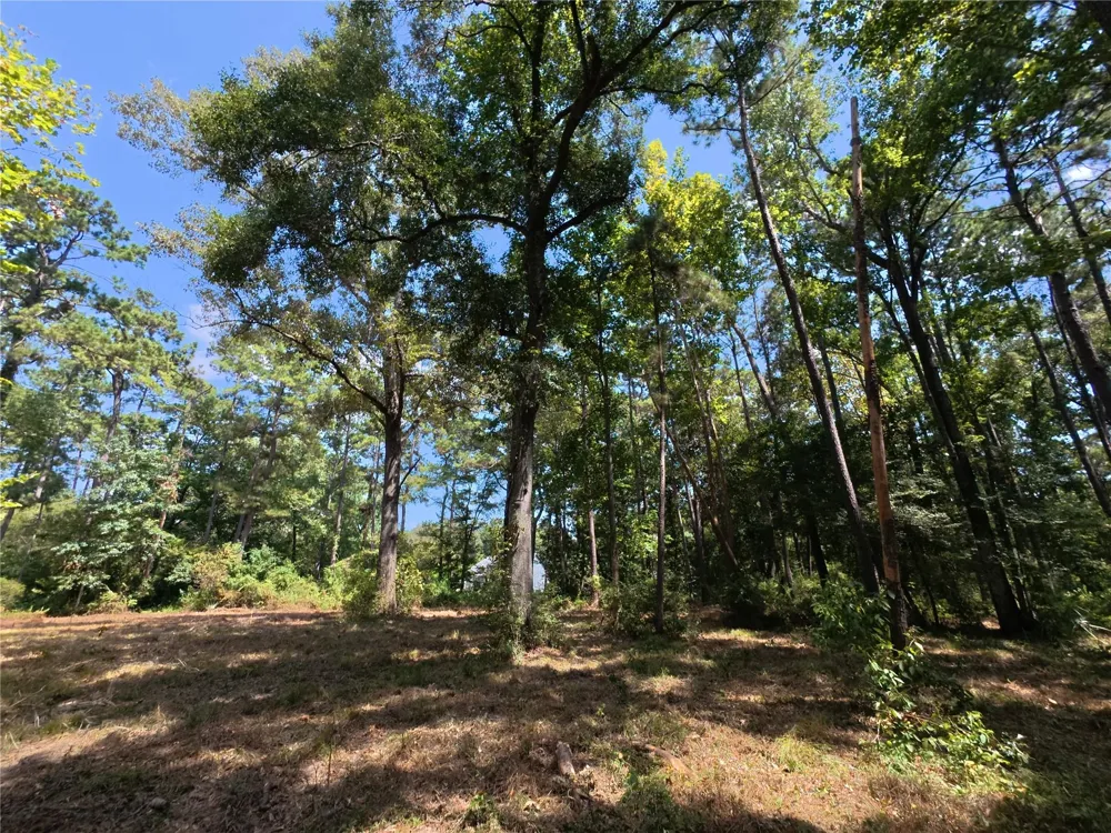 5 River Terrace Rd Huffman, TX 77336