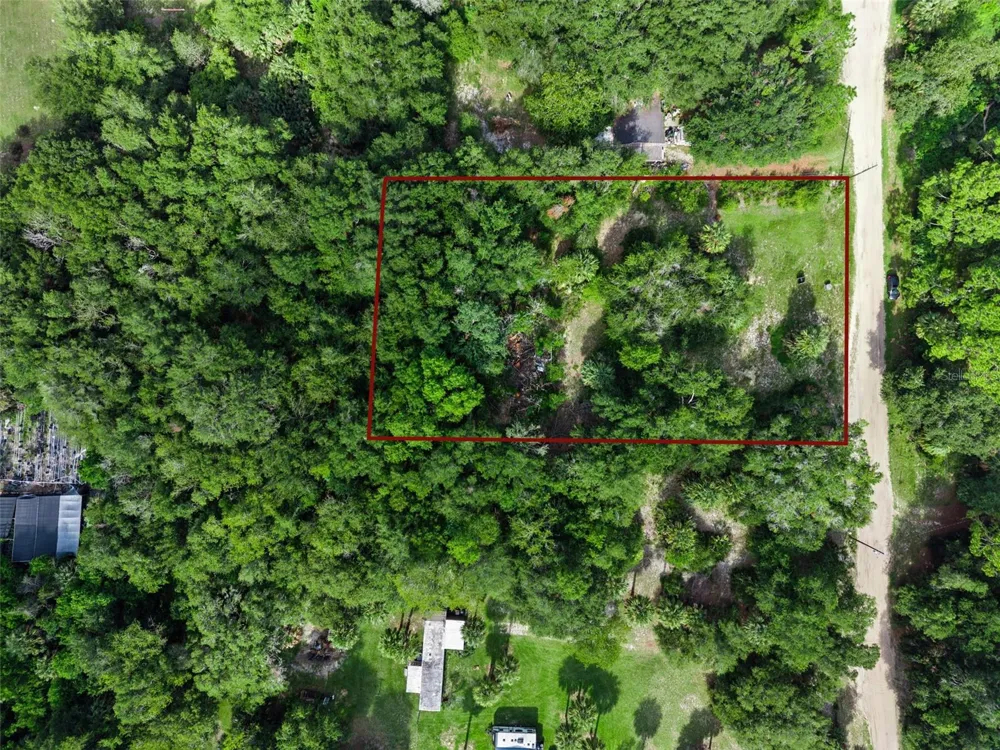22308 HORIZON VISTAS DRIVE Eustis, FL 32736