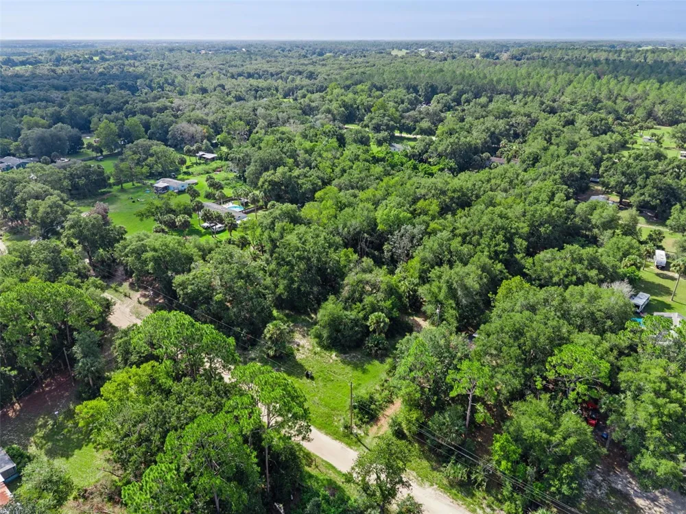 22308 HORIZON VISTAS DRIVE Eustis, FL 32736