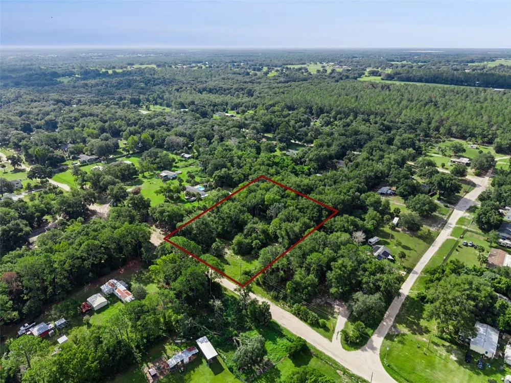 22308 HORIZON VISTAS DRIVE Eustis, FL 32736