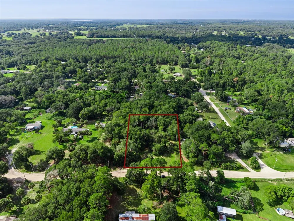 22308 HORIZON VISTAS DRIVE Eustis, FL 32736