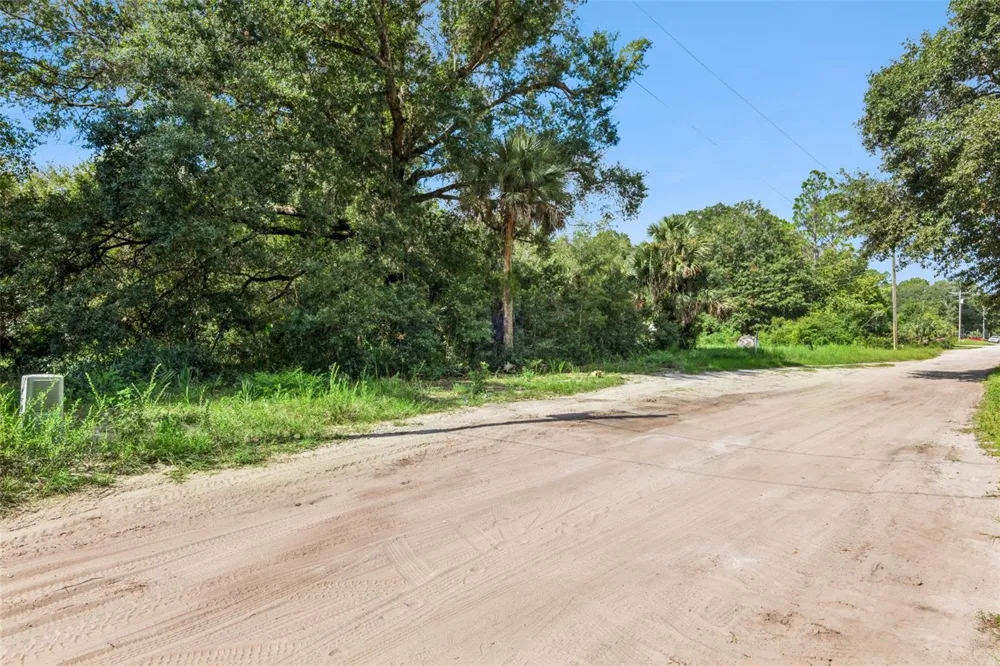22308 HORIZON VISTAS DRIVE Eustis, FL 32736