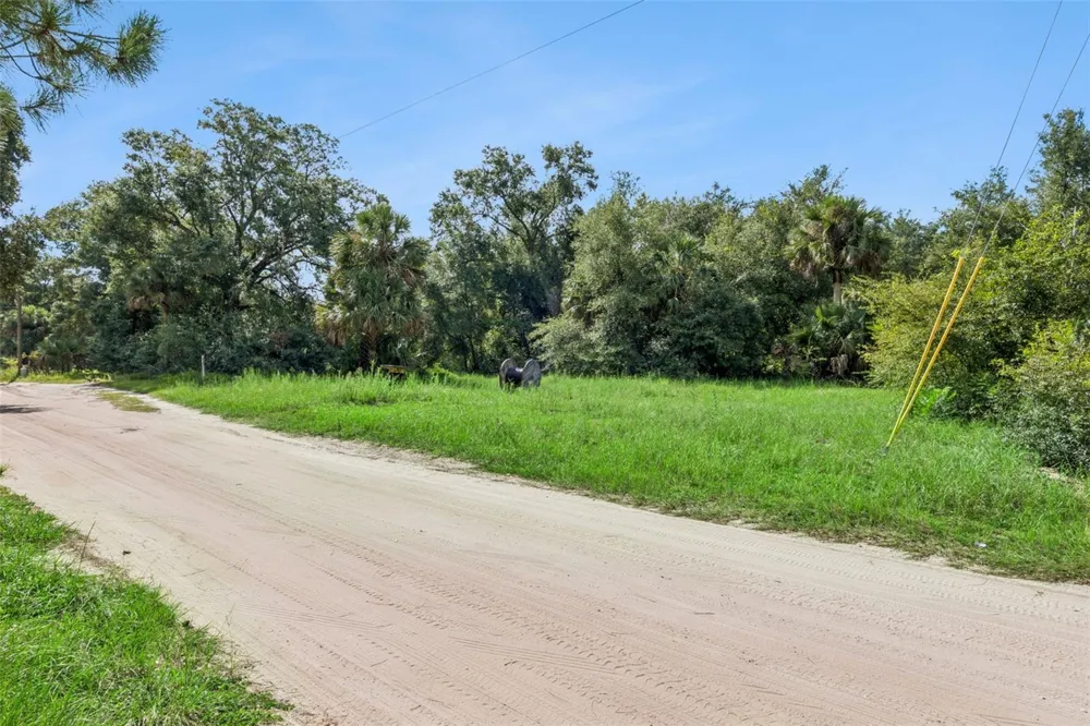 22308 HORIZON VISTAS DRIVE Eustis, FL 32736