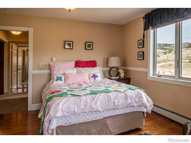 90 Mount Axtell Drive Livermore, CO 80536
