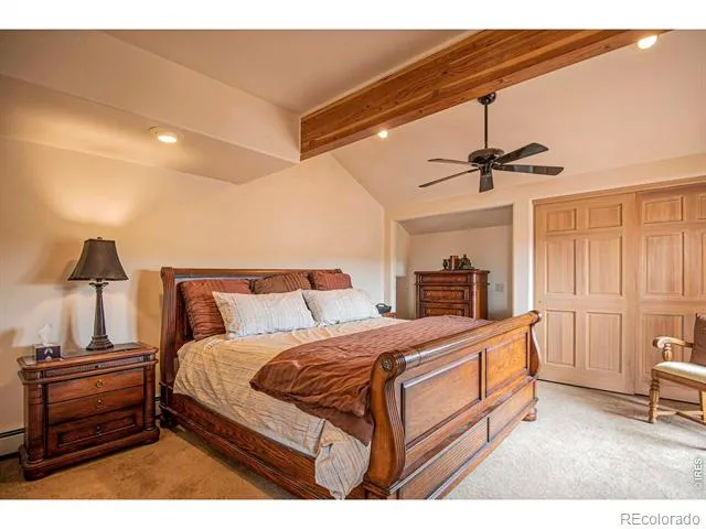 90 Mount Axtell Drive Livermore, CO 80536