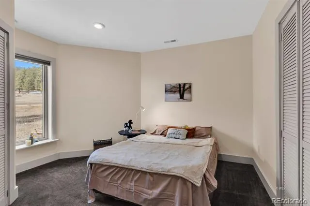 1564 Larkspur Lane Westcliffe, CO 81252